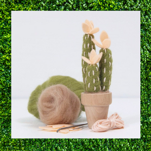 March 5 - Mohave Cactus Needle Felting
