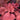 Coral Bells - Northern Exposure Red