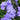Phlox - Woodland Blue