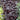 Coral Bells - Plum Pudding