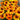 Coneflower - Prima Saffron