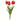 Real Touch Tulip Bundle