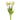 Real Touch Tulip Bundle