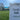 PREORDER Sod - Kentucky Bluegrass