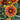 Blanket Flower - Spintop Copper Sun