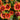 Blanket Flower - Sunset Cutie