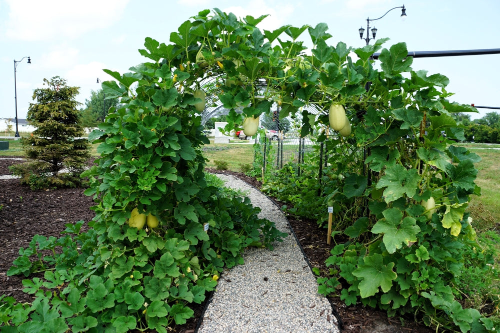 Sheyenne Market SheyWest Garden Center West Fargo Farmers Market
